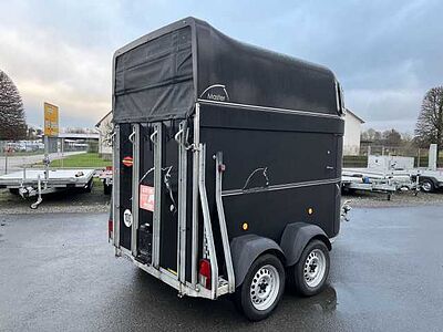 Böckmann Master S - WCF ALB Pferdeanhänger