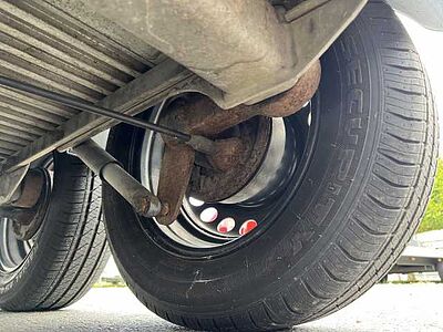 Böckmann Champion R Pferdeanhänger