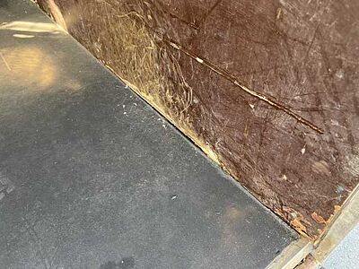 Böckmann Comfort Pferdeanhänger