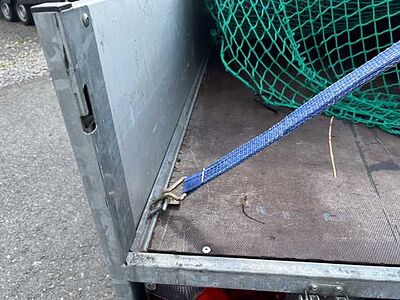 Saris McAlu Flachplane Kastenanhänger gebremst