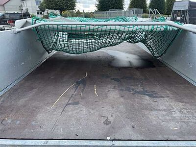 Saris McAlu Flachplane Kastenanhänger gebremst