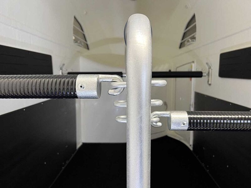 Böckmann Big Master WCF ArtLine Sonder Pferdeanhänger